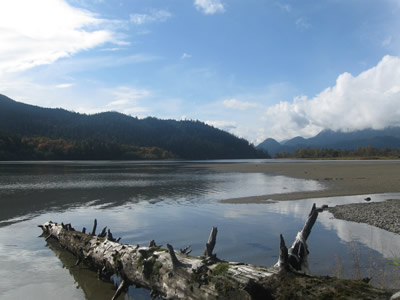 Log At Harrison River